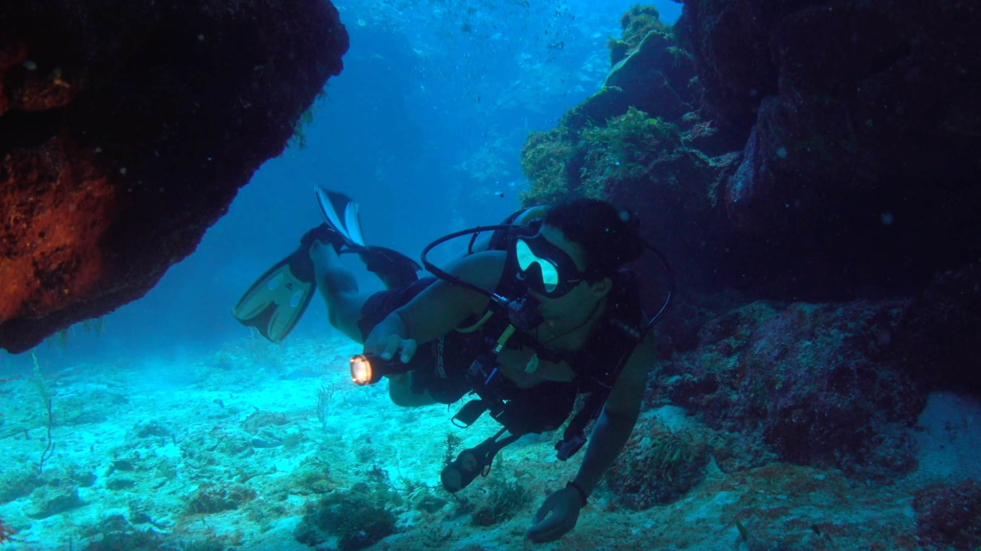 diving in belize